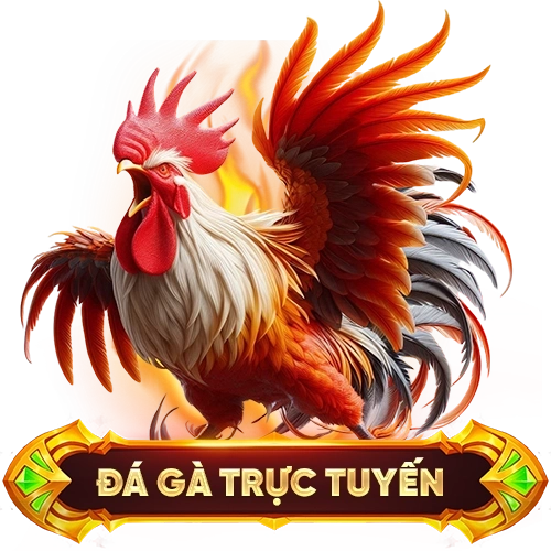 đá gà trực tuyến FM88